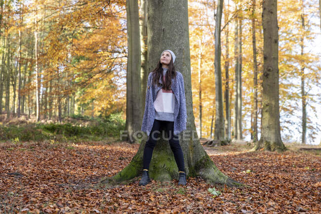 Exploradora em pé contra tronco de árvore na floresta de Cannock Chase — Fotografia de Stock