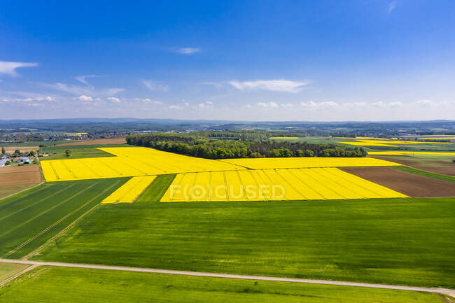 Germania, Assia, Munzenberg, Elicottero vista dei campi di campagna verdi e gialli in estate — Foto stock