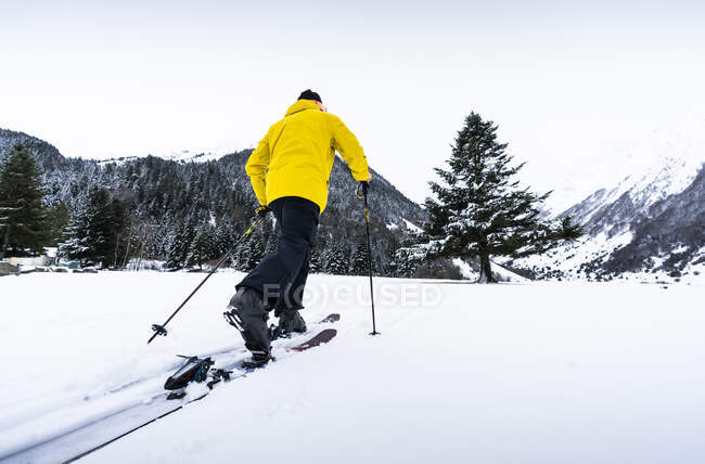 Человек катается на лыжах против ясного неба зимой — стоковое фото