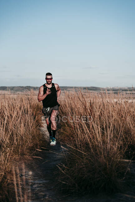 Спортсмен біжить серед сухих рослин проти неба під час заходу сонця. — стокове фото
