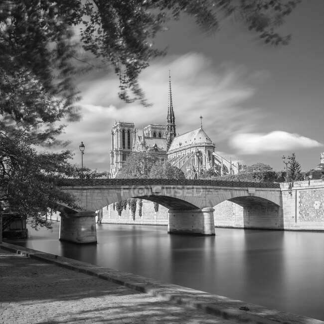 France, Ile-de-France, Paris, Pont de lArcheveche with Notre-Dame de Paris in background - foto de stock