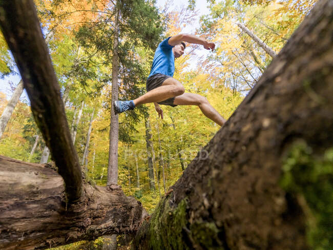 Giovane sportivo che salta oltre il tronco mentre corre a Kappelberg, Germania — Foto stock