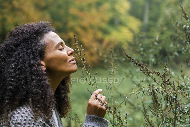 Curly hair woman with eyes closed smelling plant in forest - foto de stock
