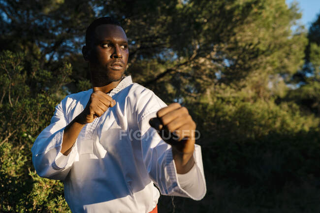 Retrato de homem adulto praticando artes marciais ao ar livre — Fotografia de Stock