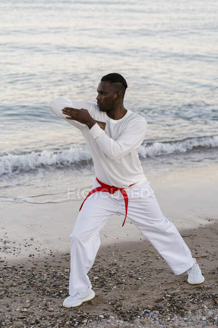 Adult man practicing martial arts on sandy coastal beach — white, hair -  Stock Photo | #481874704