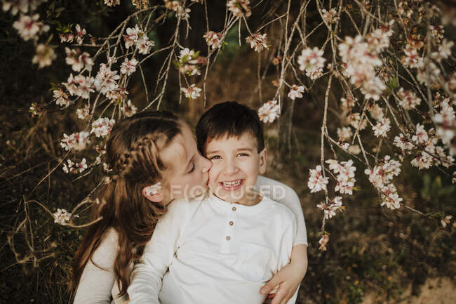 Сестра цілує усміхненого брата, сидячи під гілками мигдалевого дерева — стокове фото