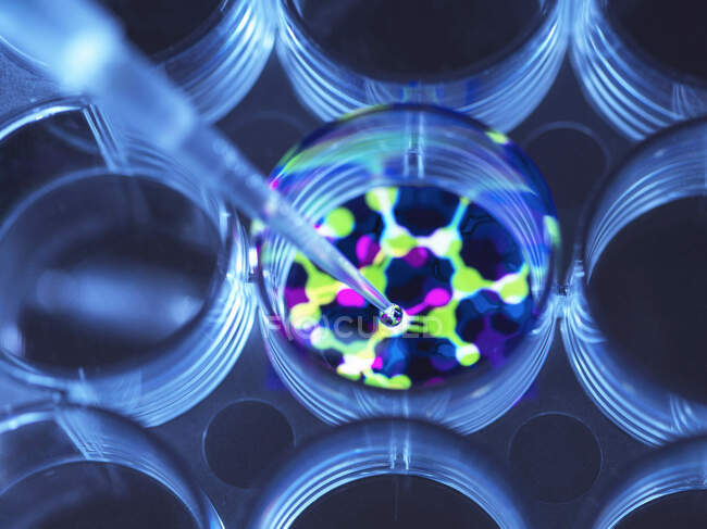 Immagine concettuale per illustrare la biotecnologia, formula chimica pipetting Scienziato in multi piastra pozzo durante un esperimento — Foto stock