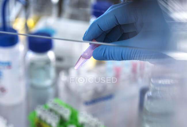 Vial de contención científica que contiene fórmula química lista para su análisis en laboratorio - foto de stock