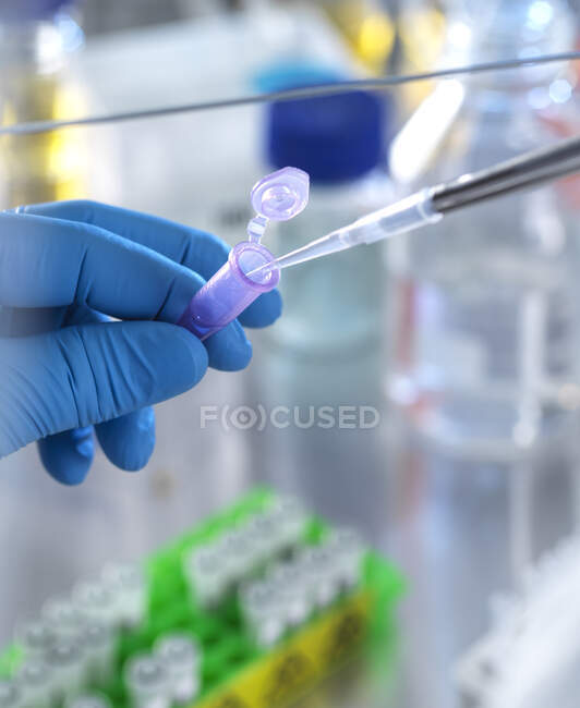 Scientist pipetting chemical formula into vial in laboratory — medical