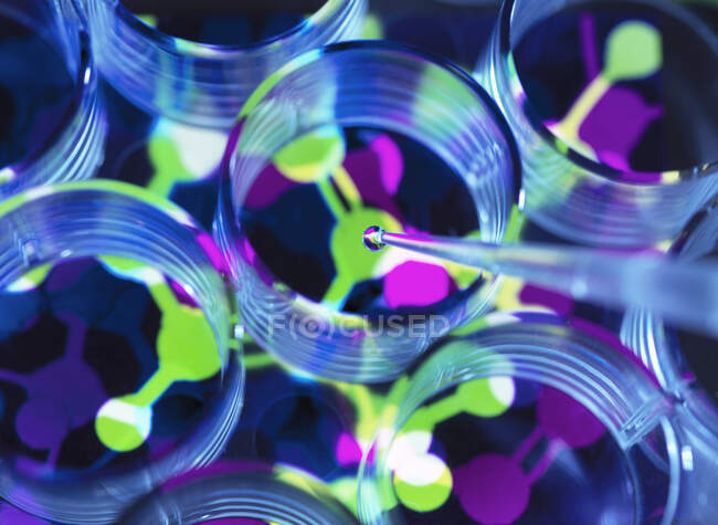 Imagem conceitual para ilustrar a biotecnologia, Cientista pipetando fórmula química em placa de vários poços durante um experimento — Fotografia de Stock