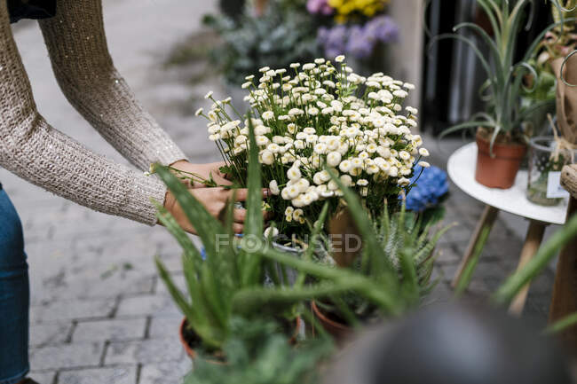 Donna che tocca il fiore di Tanacetum a negozio — Foto stock