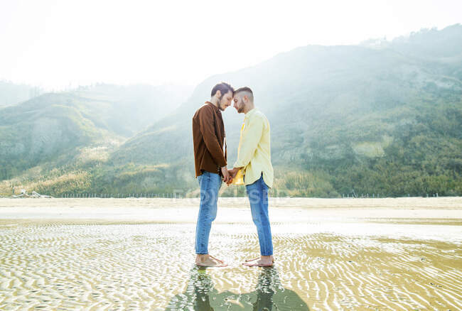 Amar gay casal segurando as mãos e de pé cara a cara na praia — Fotografia de Stock
