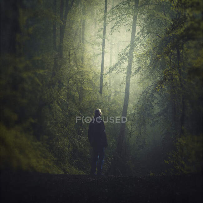 Alemania, Wuppertal, El hombre en el bosque brumoso - foto de stock