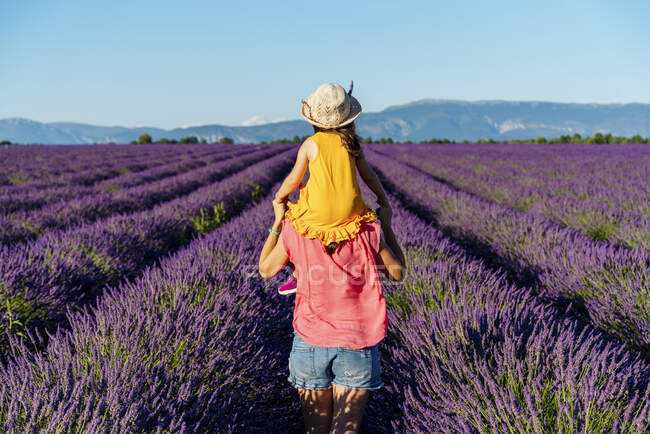 Madre piggybacking figlioletta in vasto campo di lavanda estiva — Foto stock