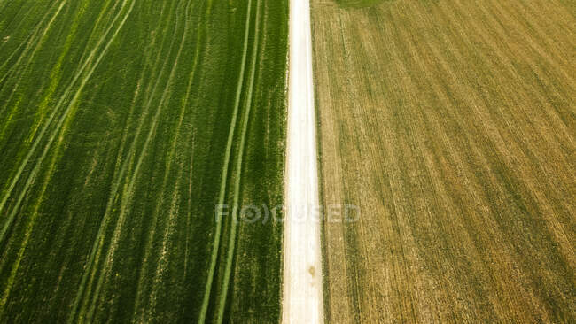 Estrada de terra vazia em meio a terras agrícolas verdes — Fotografia de Stock