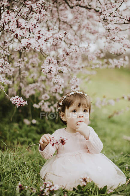 Baby girl playing with cherry tree flowers in springtime — Stock Photo