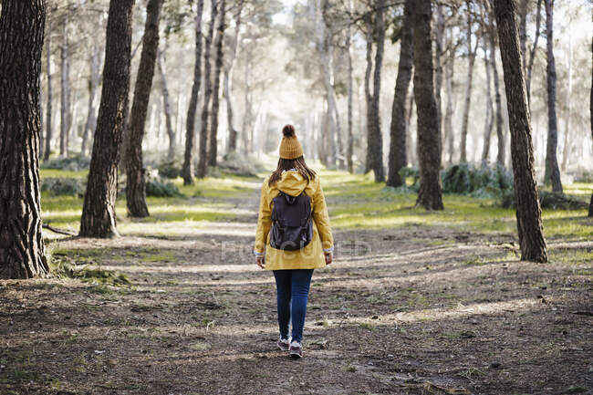 Mujer en impermeable caminando en el bosque - foto de stock