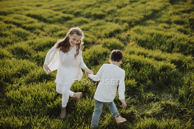 Sonriente hermano y hermana jugando en la hierba durante el día soleado - foto de stock