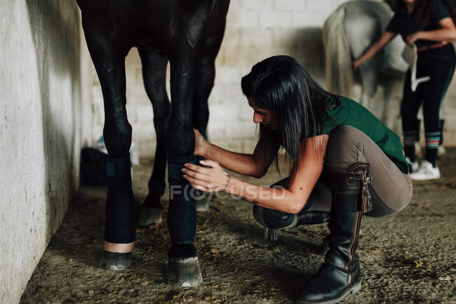 Mulher examinando perna de cavalo no estábulo enquanto amigo feminino visto no fundo — Fotografia de Stock