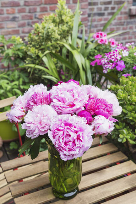 Vaso com peônias rosa florescendo — Fotografia de Stock
