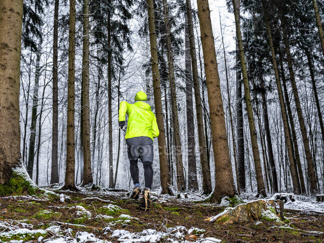 Atleta masculino correndo em meio a árvores durante o inverno na floresta — Fotografia de Stock