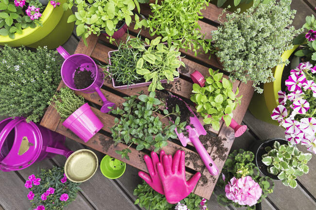 Herb and vegetable garden on balcony — Stock Photo