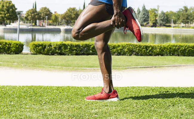 Atleta di sesso maschile che fa esercizio di leg-up nel parco nella giornata di sole — Foto stock
