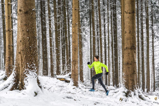 Жінка-спортсменка біжить серед дерев взимку — стокове фото
