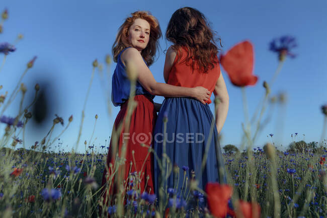 Женщина, обнимающая талию подруги, стоящей на маковом поле — стоковое фото
