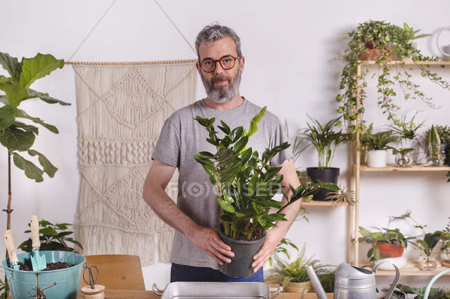 Uomo maturo in possesso di pianta in vaso di Zamioculcas Zamiifolia mentre in piedi a casa — Foto stock