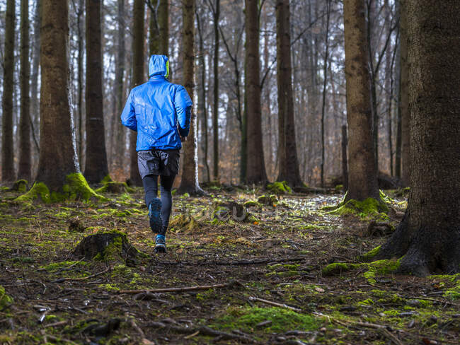 Junger Mann joggt im Winter zwischen Bäumen im Wald — Stockfoto