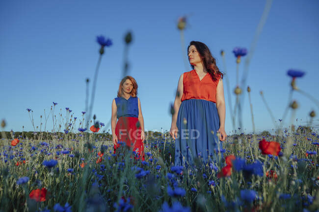 Mulheres bonitas em pé no campo de papoula contra o céu azul claro — Fotografia de Stock