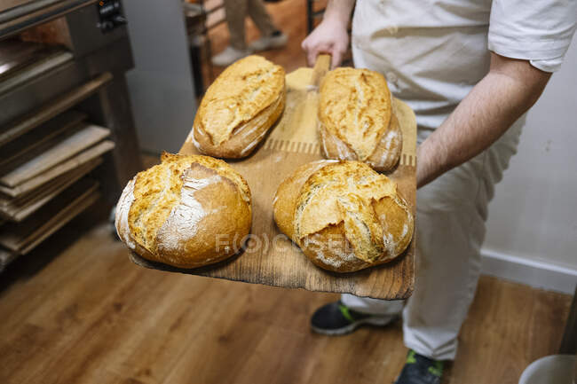 Мужчина шеф-повар держит хлеб на кожуре пиццы на коммерческой кухне в пекарне — стоковое фото