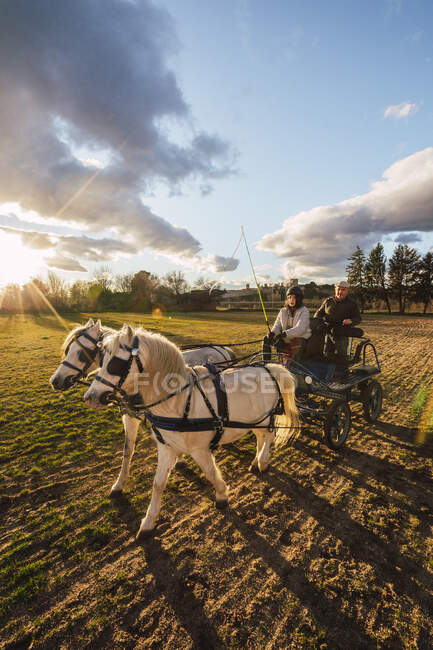 Rancher sitzen in Kutsche zurück, während Pferd auf Ranch trainiert — Stockfoto