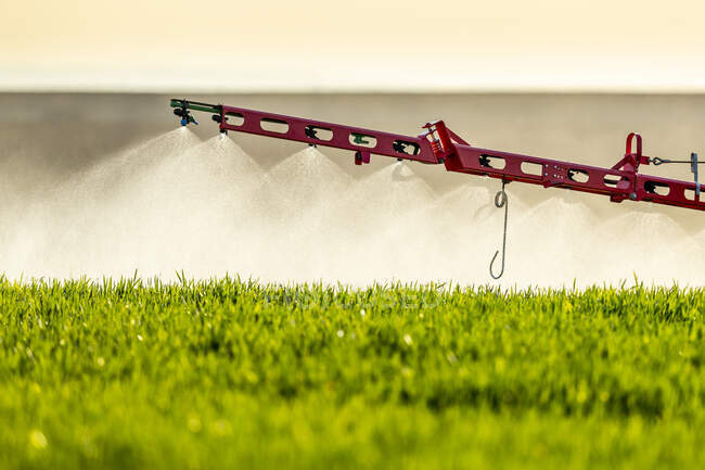 Close-up of tractor sprinkling fertilizer on crop in farm — Stock Photo