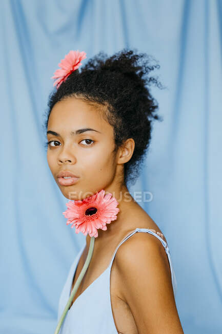 Serious female with curly black hair holding pink gerbera daisy against  blue curtain — headshot, spain - Stock Photo | #484418052