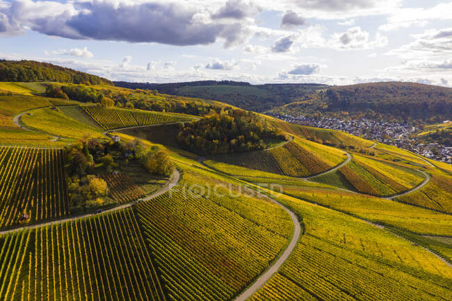 Germania, Baden-Wuerttemberg, Weinstadt, Veduta aerea dei vigneti e delle colline nella giornata autunnale — Foto stock