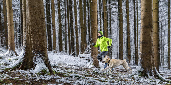 Jovem desportista do sexo masculino correndo com labrador durante o inverno na floresta — Fotografia de Stock