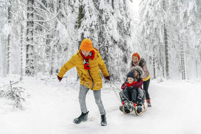 Famiglia giocare mentre slittino sulla neve nella foresta — Foto stock