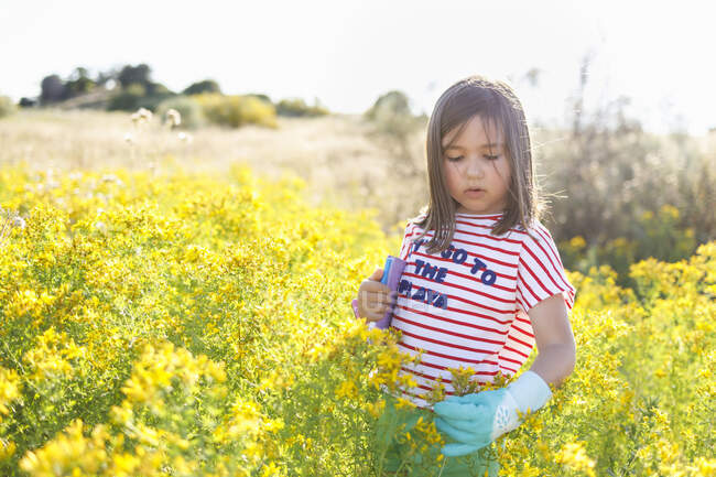 Menina segurando planta enquanto está em pé no prado contra o céu — Fotografia de Stock
