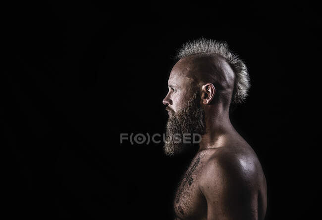 Male viking with mohawk hairstyle standing against black background — one  person, caucasian - Stock Photo | #488393128