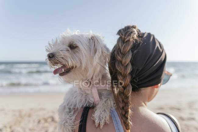 Mujer sosteniendo su perro en la playa - foto de stock