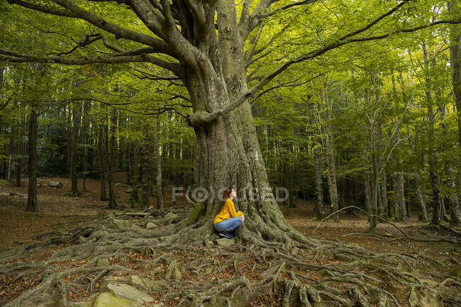 Giovane donna accovacciata da albero nella foresta — Foto stock