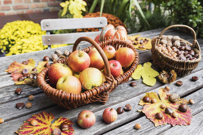 Cosecha de otoño en mesa de jardín: manzanas, nueces y castañas en cestas y calabaza comestible - foto de stock