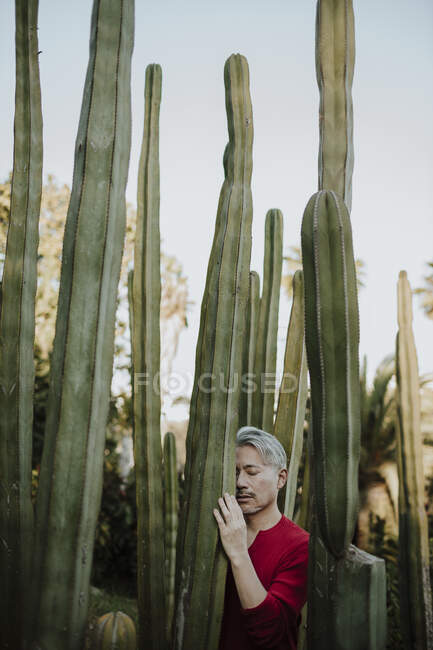 Зрілий чоловік з закритими очима торкається кактусової рослини в саду. — стокове фото