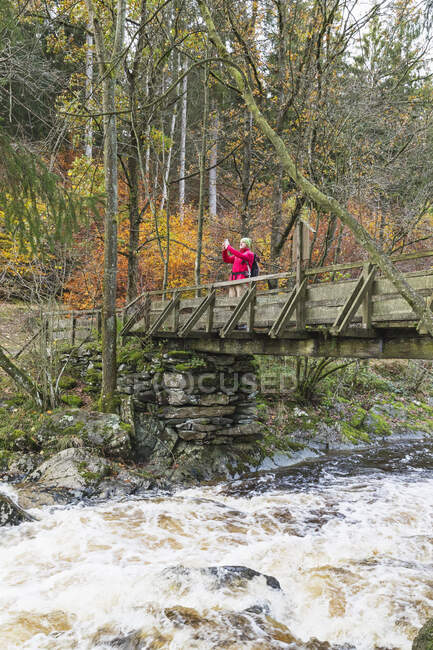 Maschio anziano escursionista in piedi sul ponte sopra l'acqua nella foresta — Foto stock