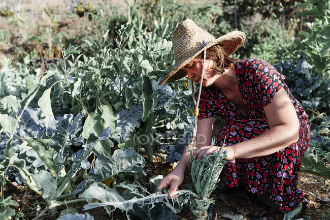 Agricultor feminino usando chapéu de sol enquanto trabalhava na fazenda no dia ensolarado — Fotografia de Stock