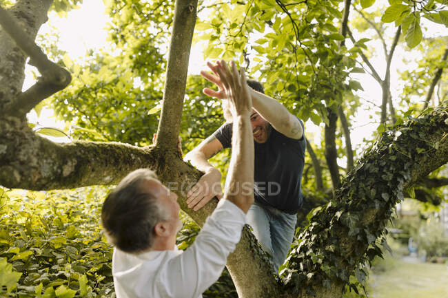 Padre che fa il cinque al figlio allegro che si arrampica sull'albero nel cortile sul retro — Foto stock