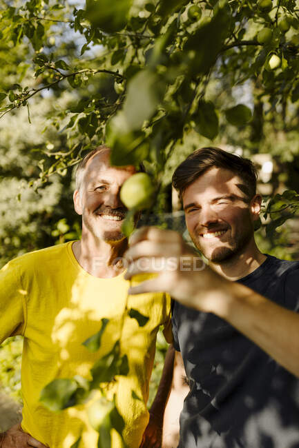 Smiling son and father examining tree branch in back yard — Stock Photo