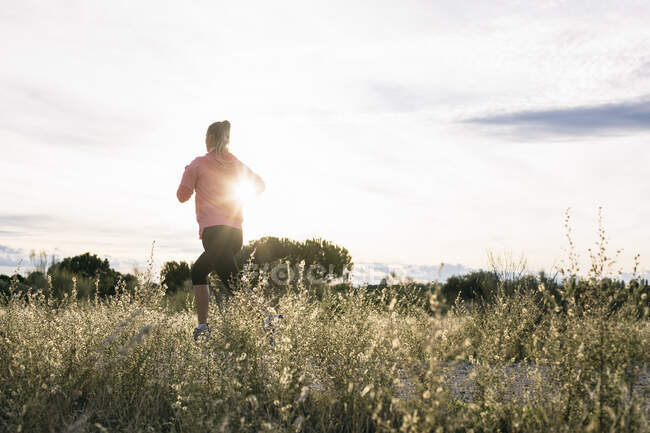 Joggerin läuft an sonnigem Tag an landwirtschaftlichem Feld vorbei — Stockfoto